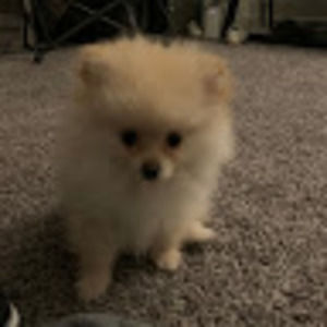 Meet your Posher, Kathlyn